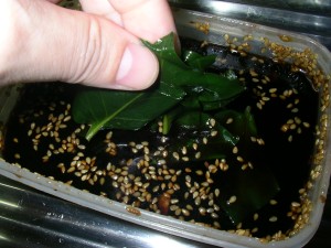 アカザカズラの葉っぱを漬ける - Pickling the leaves of Anredera Cordifolia