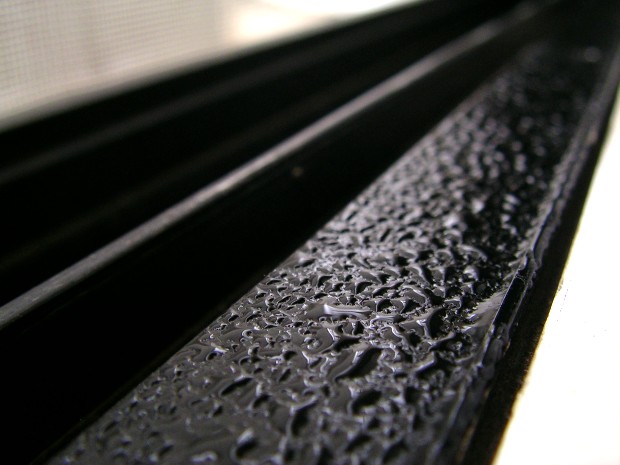 窓枠の結露 - Condensation above a window frame