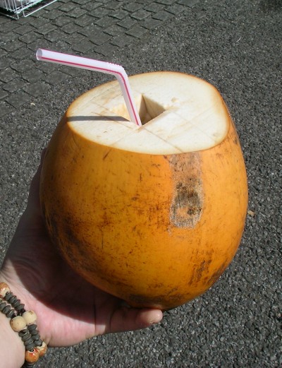 キングココナッツ - King Coconut