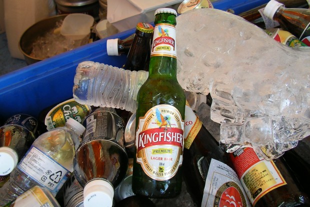 キングフィッシャー（インドのビール） - Kingfisher of Indian Beer