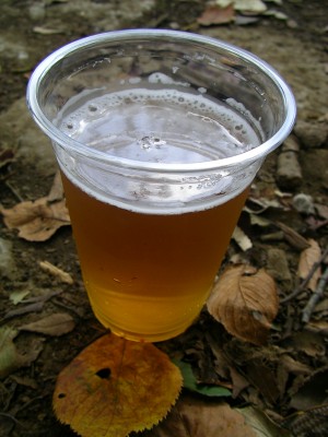 スリランカのライオンビール、ラガー - Lion Beer Lagar of Sri Lanka