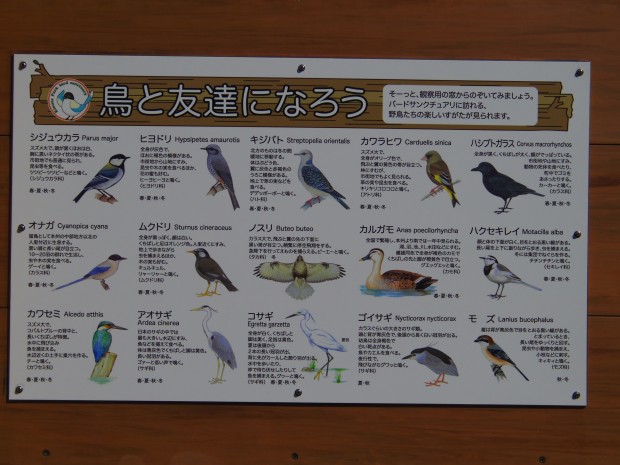砧公園の野鳥 - Birds in Kinuta Park