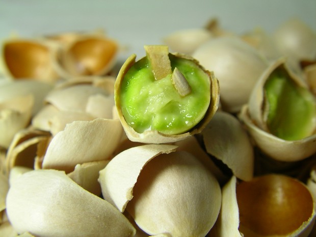 銀杏の殻むき - Shelling Ginkgo Nuts