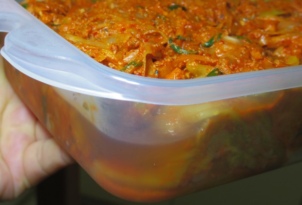 自家製キムチ - Homemade Kimchi