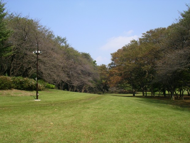 砧公園 - Kinuta Park