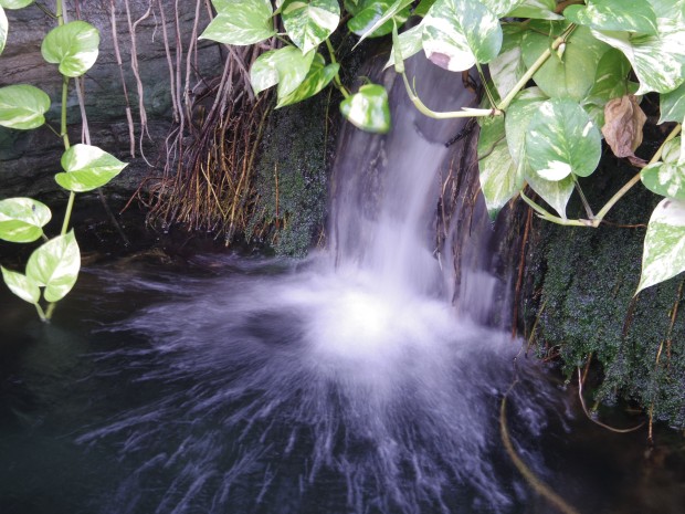 小さい滝 - Small Fall