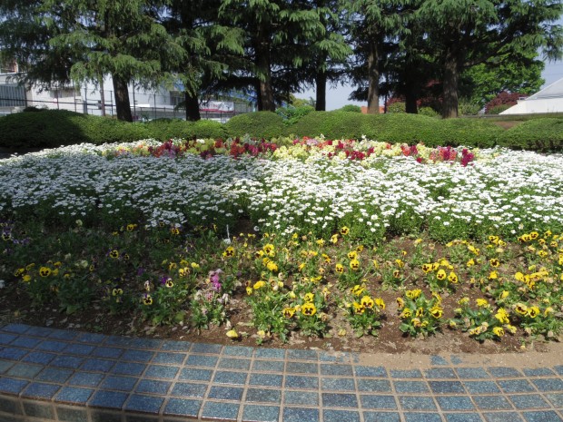 大蔵運動公園の円形花壇 - The circle shaped flower garden at Ookura undou park