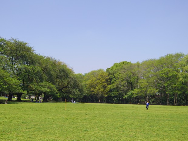 砧公園 - Kinuta park