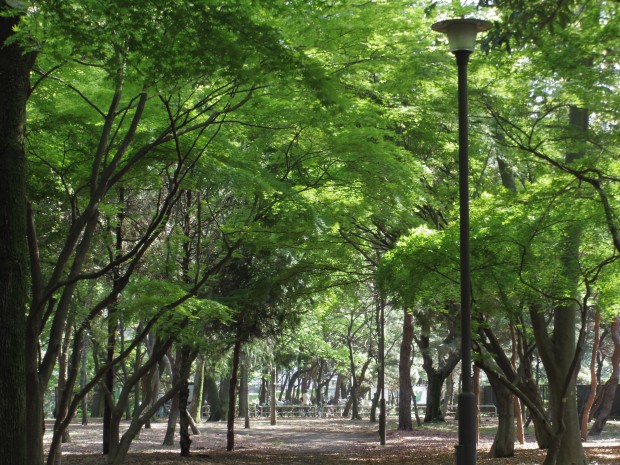 砧公園 - Kinuta park