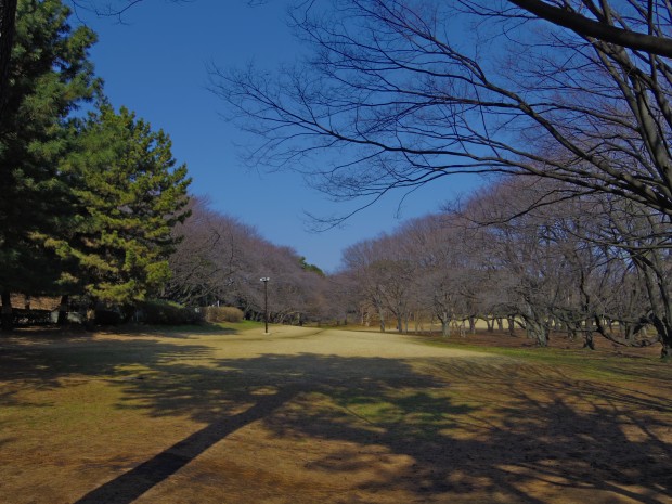 砧公園 - Kinuta Park in Tokyo