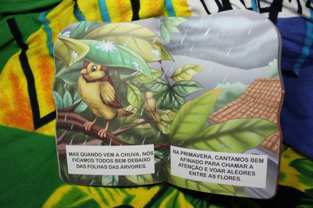 ブラジルの絵本『小鳥のジーコ』 - O PASSARINHO DICO, Brazilian picture books for children