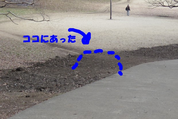 モグラの巣 - Molehills at Kinuta Park in Tokyo