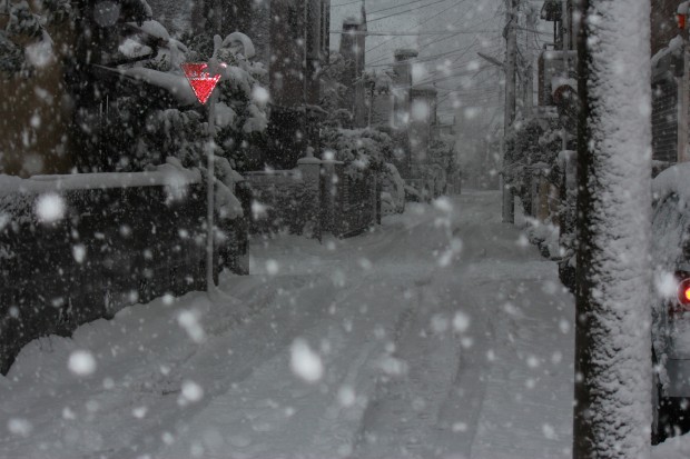 東京の雪 - Snow in Tokyo