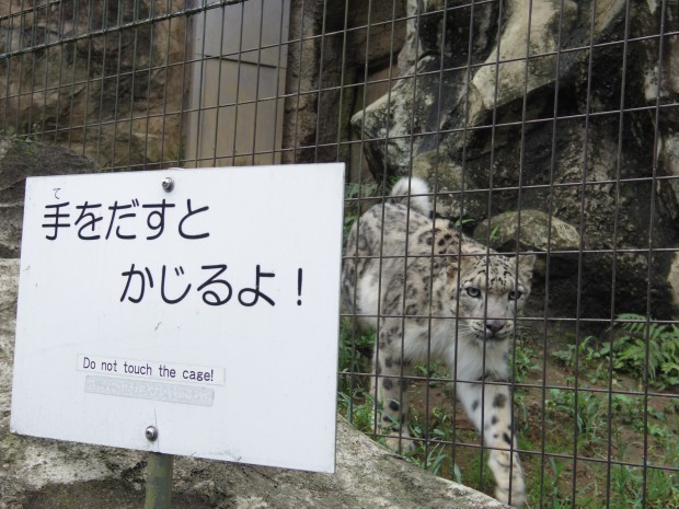 ユキヒョウ舎の警告 - Warning at Snow Leopard area
