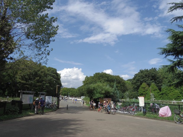 代々木公園 - Yoyogi Park