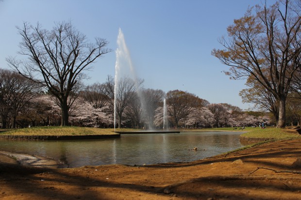 代々木公園 - Yoyogi Park